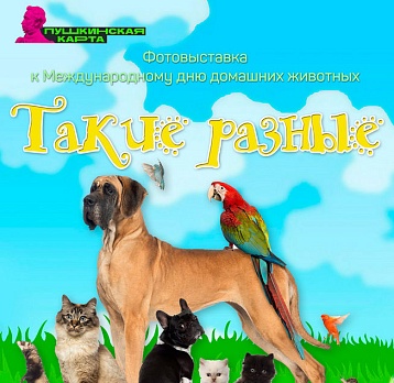 Выставка «Такие разные»